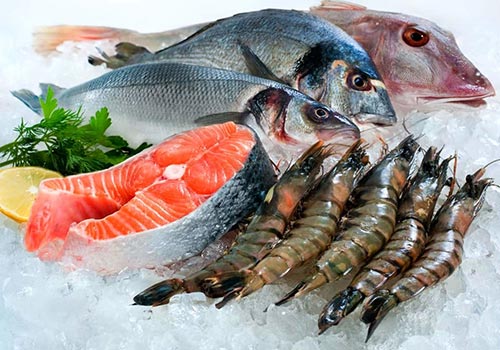 انواع ماهی
